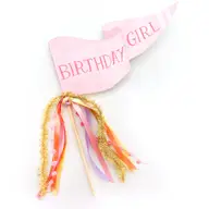 Birthday Girl Party Pennant