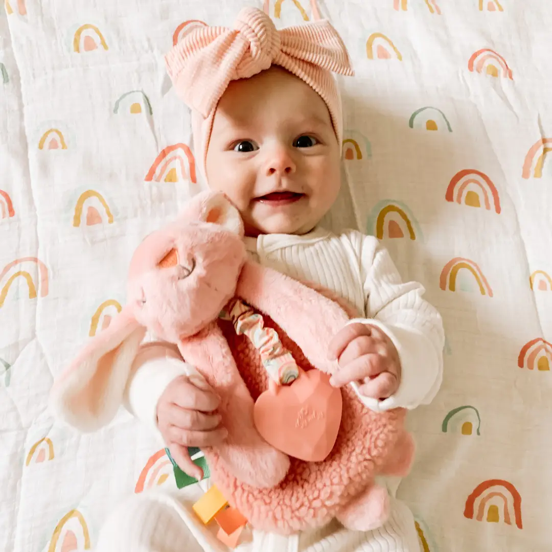 Plush Lovey with Silicone Teether Toy