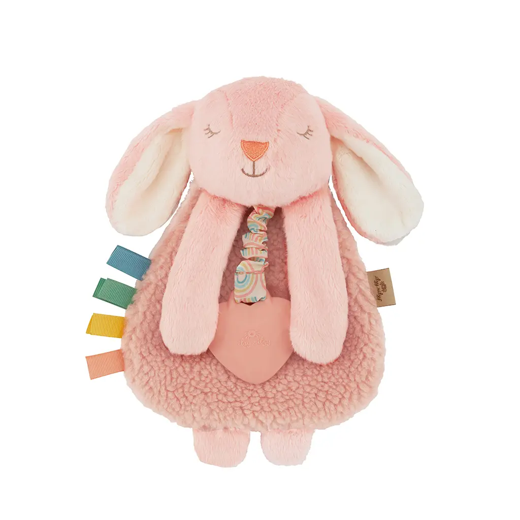 Plush Lovey with Silicone Teether Toy
