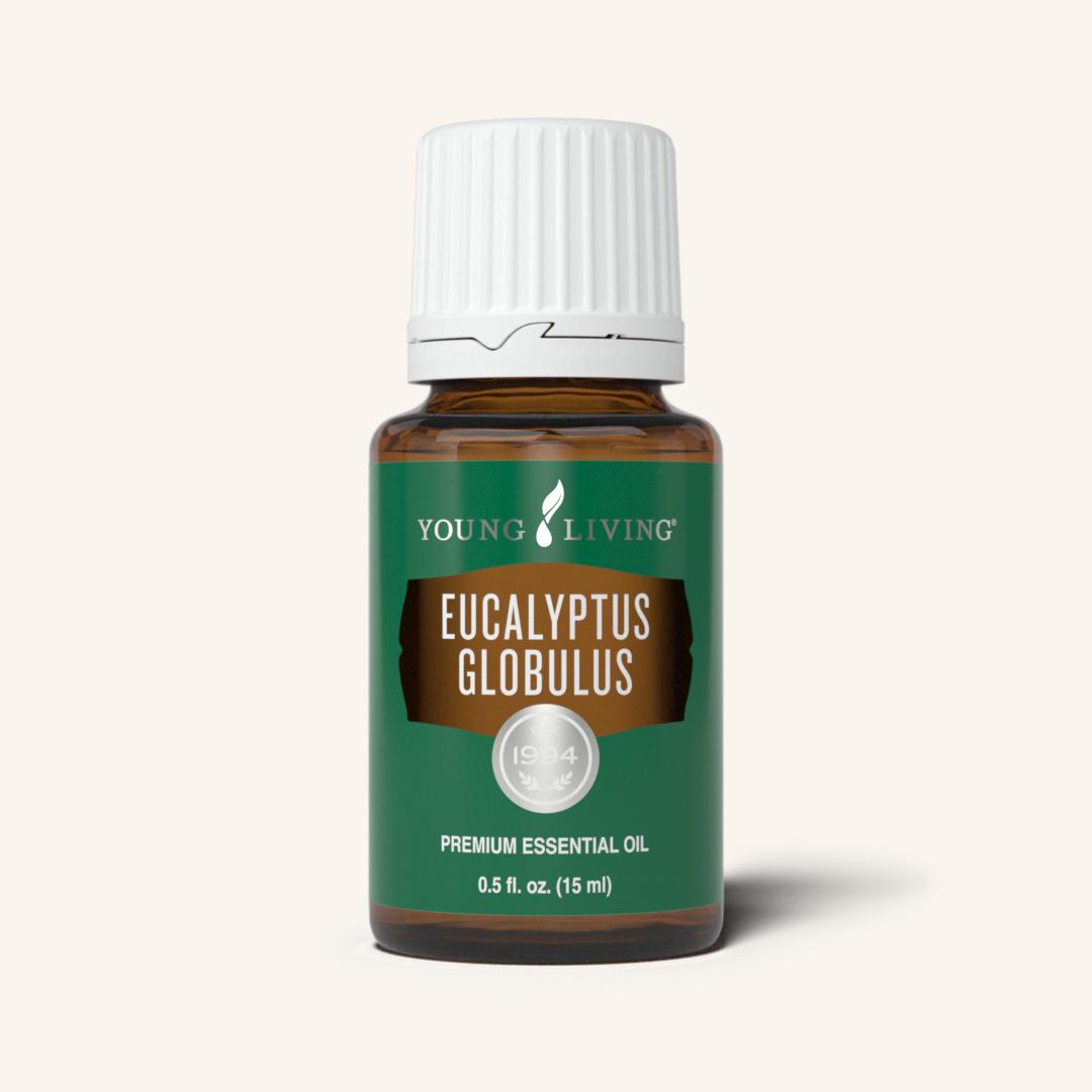 Eucalyptus Globulus Essential Oil - 15ml