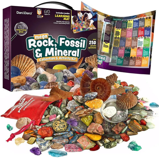 Mega Rock, Fossil & Mineral Collection