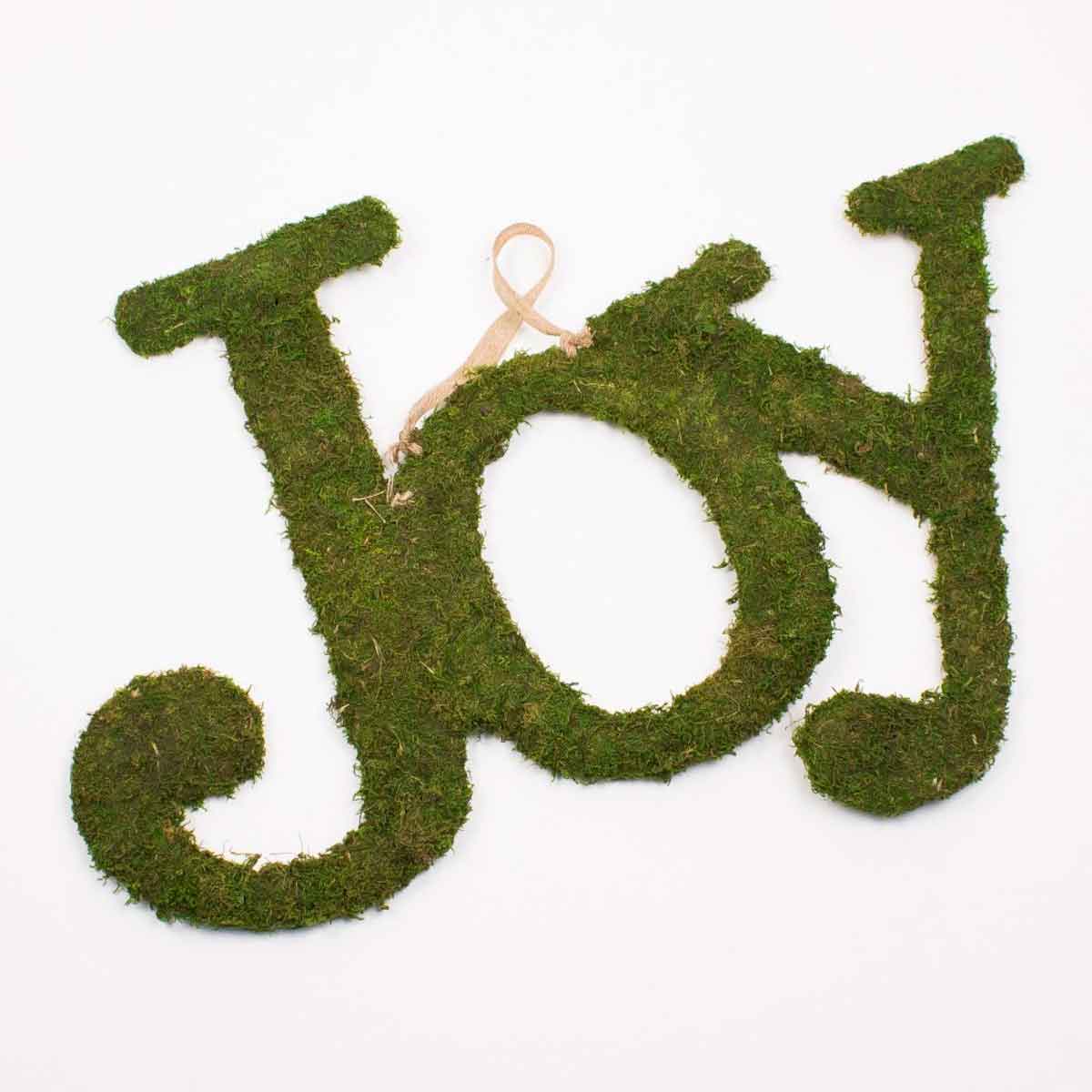 Joy - Moss Door Hanger