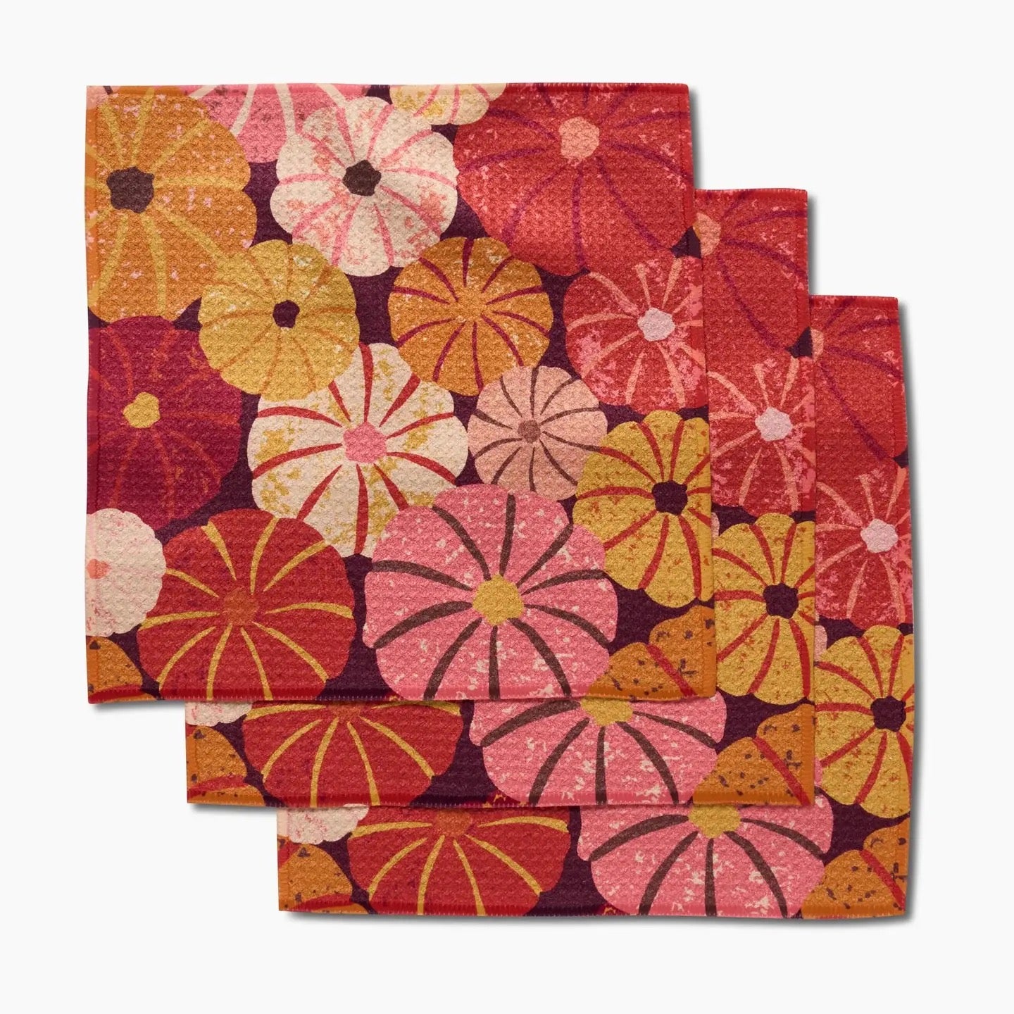 Spicy Pumpkins Dishcloth Set