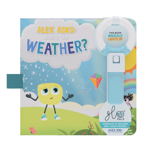 Light Up Book - What Is the Weather?