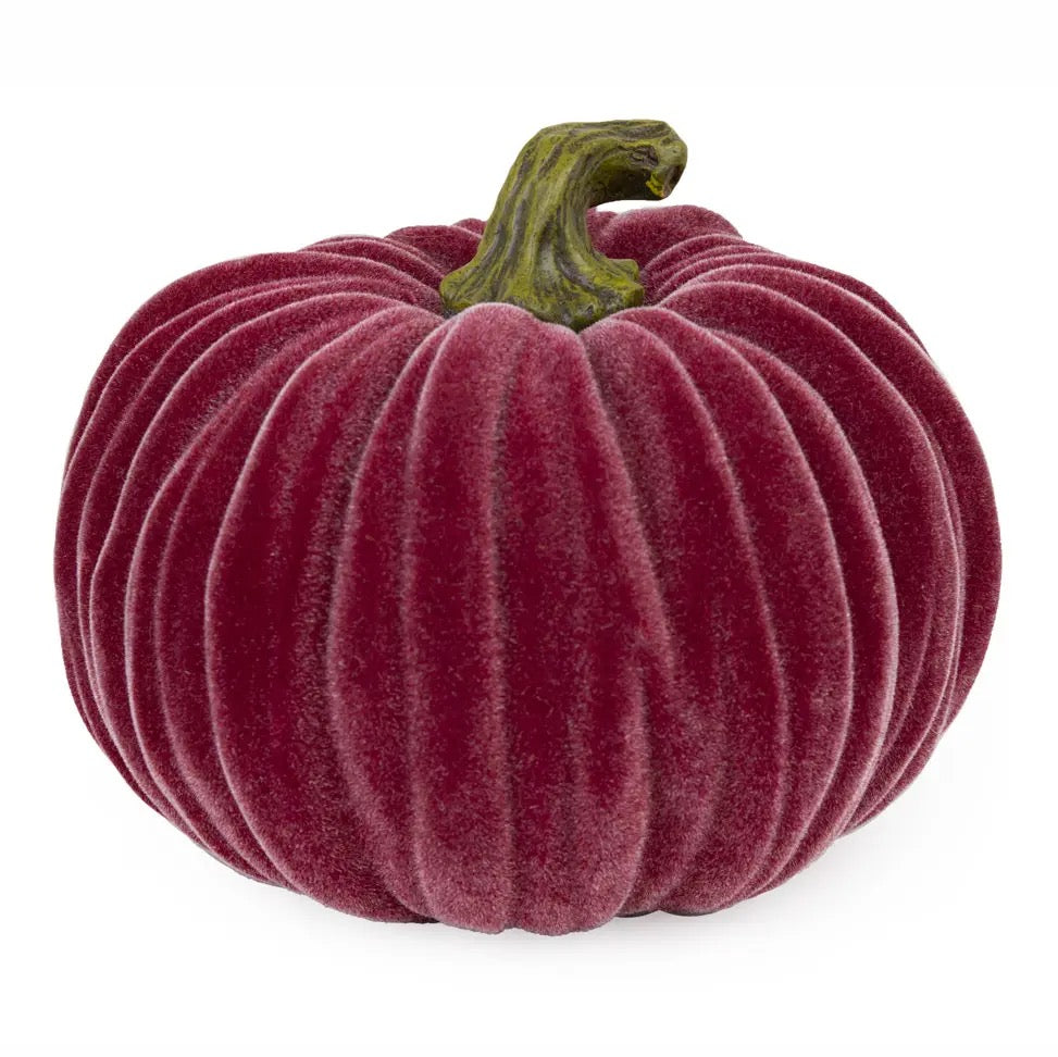 Velvet Burgundy Pumpkin