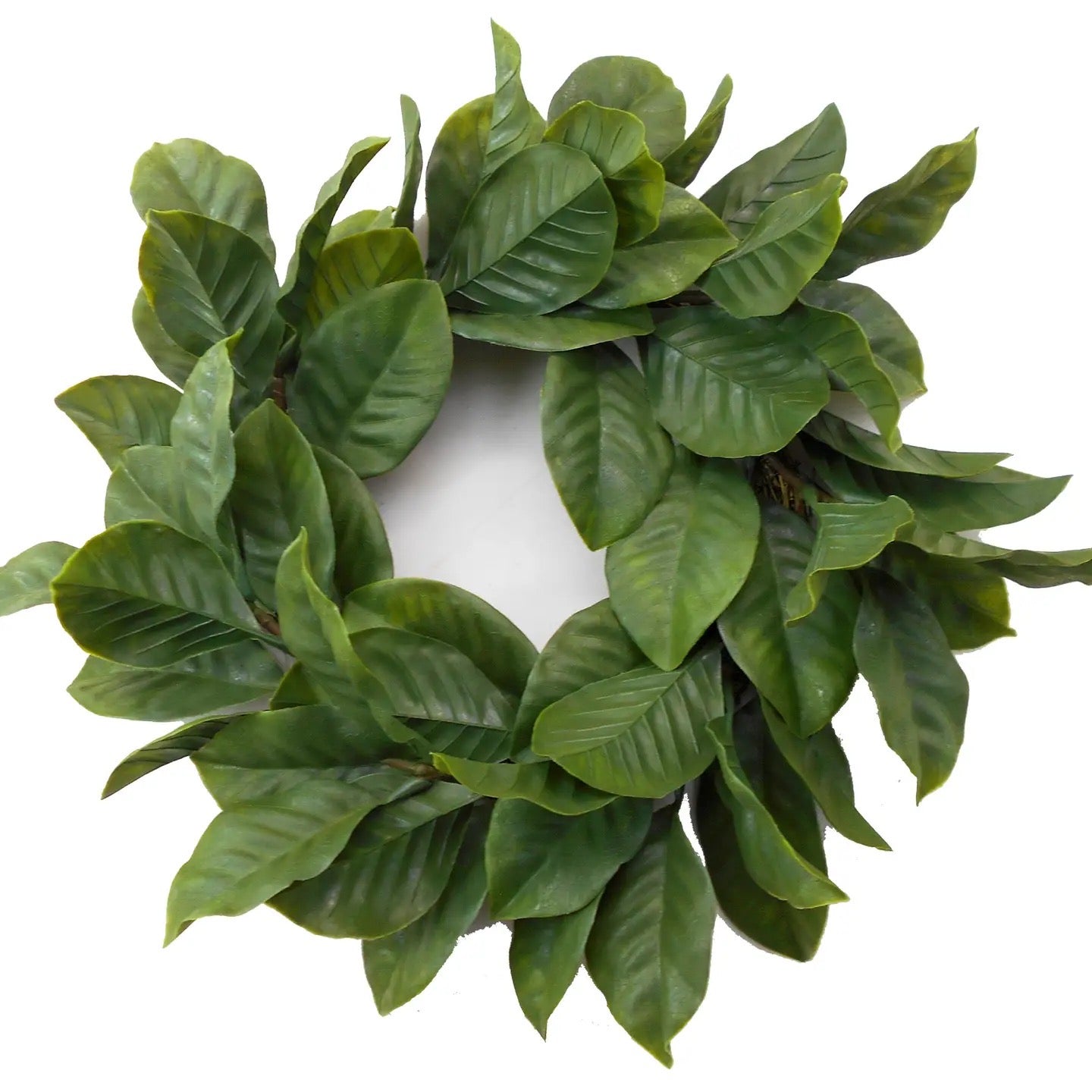 Magnolia Leaf Wreath 22"