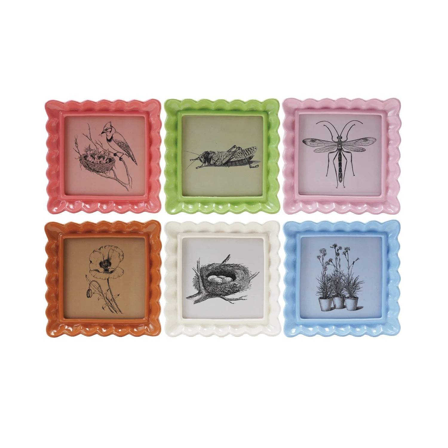 Resin Ruffled Photo Frame – The Providence Shoppe