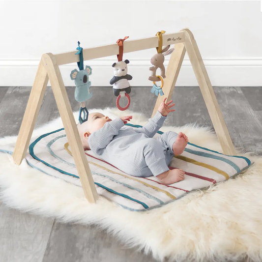 Wooden Activity Gym