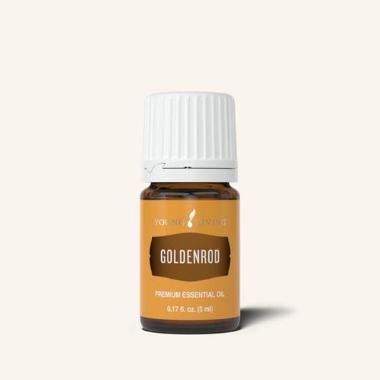 Goldenrod Essential Oil - 5ml